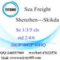 Shenzhen Port Sea Freight Versand nach Skikda